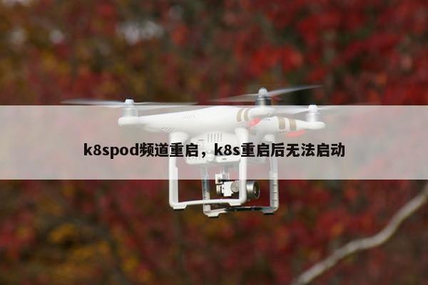 k8spod频道重启，k8s重启后无法启动