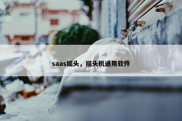 saas摇头，摇头机通用软件