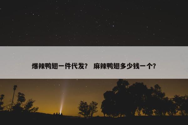 爆辣鸭翅一件代发？ 麻辣鸭翅多少钱一个？