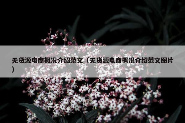 无货源电商概况介绍范文（无货源电商概况介绍范文图片）