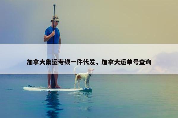 加拿大集运专线一件代发，加拿大运单号查询