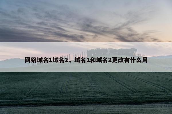 网络域名1域名2，域名1和域名2更改有什么用