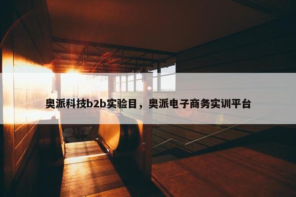 奥派科技b2b实验目，奥派电子商务实训平台