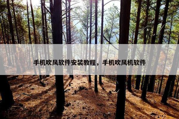 手机吹风软件安装教程，手机吹风机软件