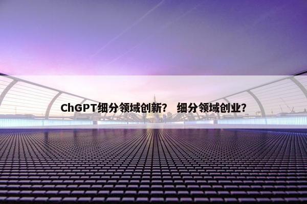 ChGPT细分领域创新？ 细分领域创业？