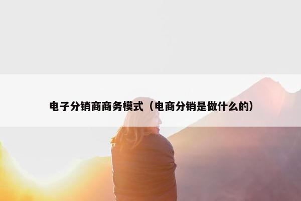 电子分销商商务模式（电商分销是做什么的）