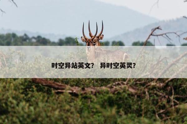 时空异站英文？ 异时空英灵？