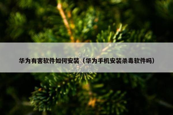 华为有害软件如何安装（华为手机安装杀毒软件吗）