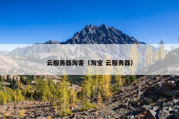 云服务器淘客（淘宝 云服务器）