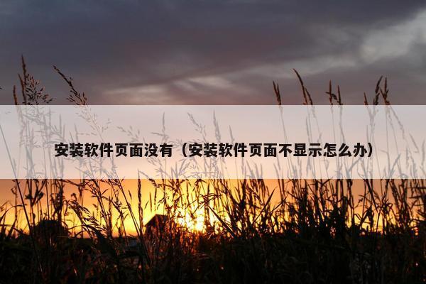安装软件页面没有（安装软件页面不显示怎么办）