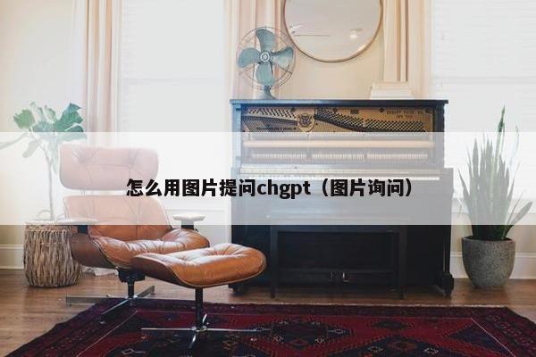 怎么用图片提问chgpt（图片询问）