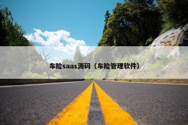 车险saas源码（车险管理软件）