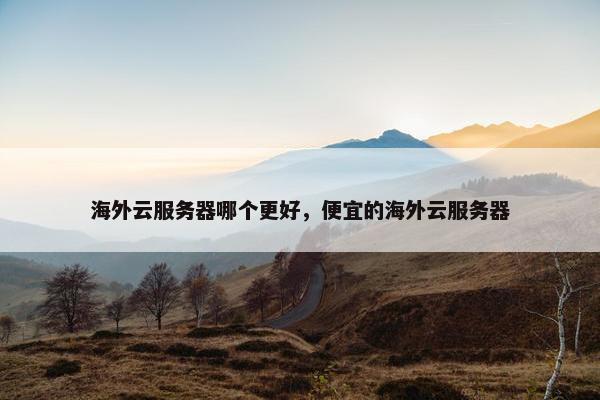 海外云服务器哪个更好，便宜的海外云服务器