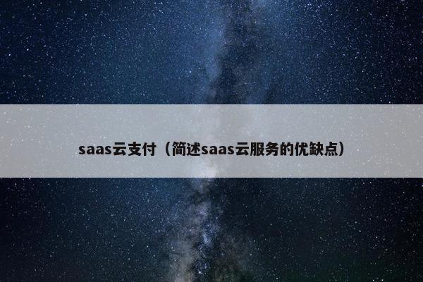 saas云支付（简述saas云服务的优缺点）