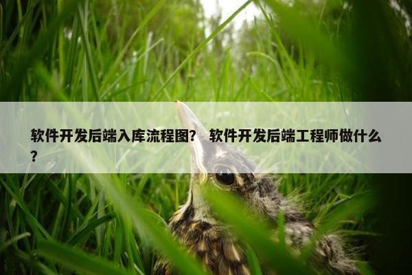 软件开发后端入库流程图？ 软件开发后端工程师做什么？
