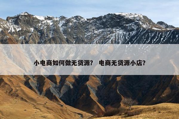 小电商如何做无货源？ 电商无货源小店？