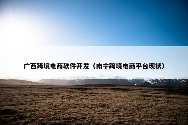 广西跨境电商软件开发（南宁跨境电商平台现状）