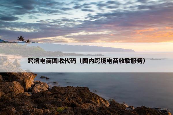 跨境电商国收代码（国内跨境电商收款服务）