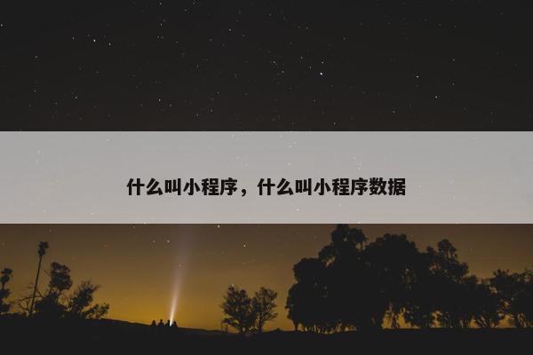什么叫小程序，什么叫小程序数据