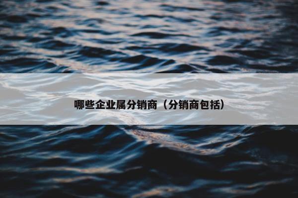 哪些企业属分销商（分销商包括）