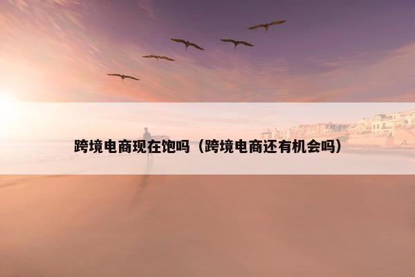 跨境电商现在饱吗（跨境电商还有机会吗）