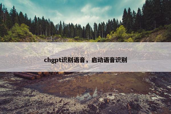 chgpt识别语音，启动语音识别