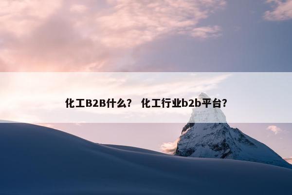 化工B2B什么？ 化工行业b2b平台？