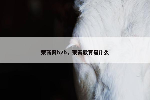 荣商网b2b，荣商教育是什么
