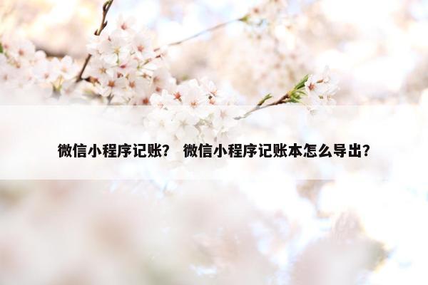 微信小程序记账？ 微信小程序记账本怎么导出？