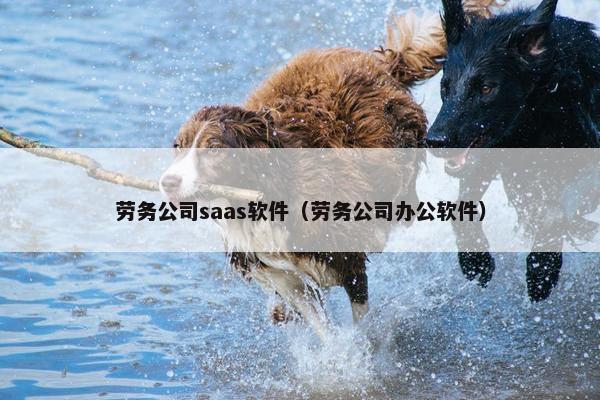 劳务公司saas软件（劳务公司办公软件）