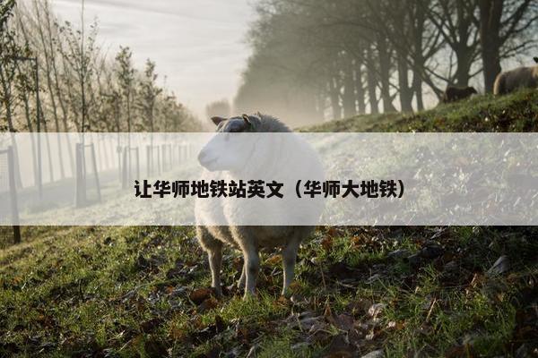 让华师地铁站英文（华师大地铁）