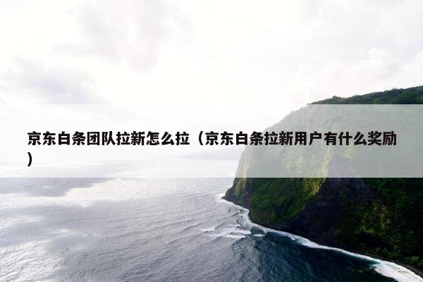 京东白条团队拉新怎么拉（京东白条拉新用户有什么奖励）