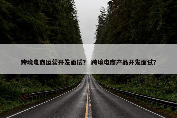 跨境电商运营开发面试？ 跨境电商产品开发面试？