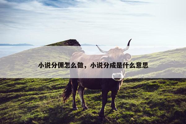 小说分佣怎么做，小说分成是什么意思