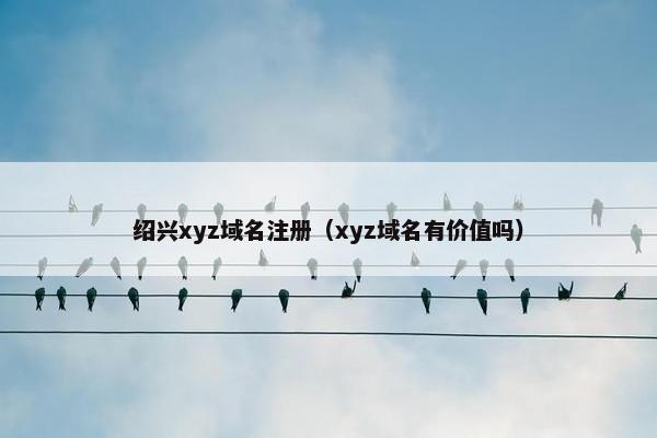 绍兴xyz域名注册（xyz域名有价值吗）