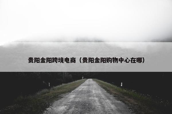贵阳金阳跨境电商（贵阳金阳购物中心在哪）