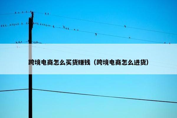 跨境电商怎么买货赚钱（跨境电商怎么进货）