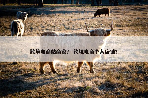 跨境电商站商家？ 跨境电商个人店铺？