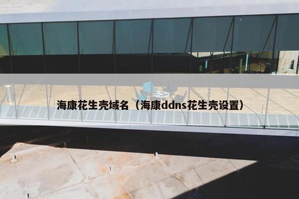 海康花生壳域名（海康ddns花生壳设置）