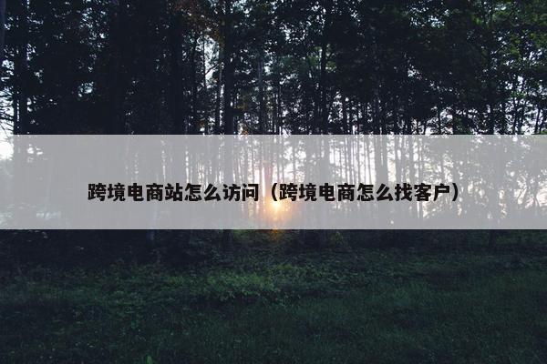 跨境电商站怎么访问（跨境电商怎么找客户）