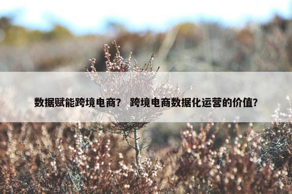 数据赋能跨境电商？ 跨境电商数据化运营的价值？