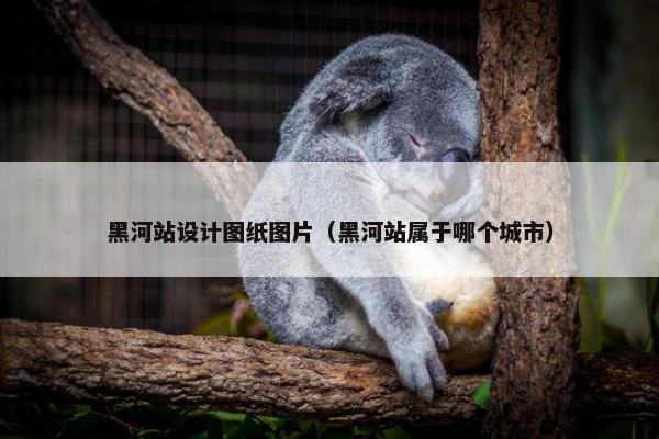黑河站设计图纸图片（黑河站属于哪个城市）