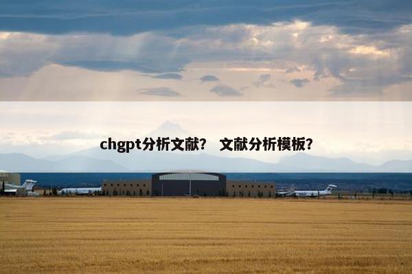 chgpt分析文献？ 文献分析模板？
