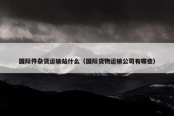 国际件杂货运输站什么（国际货物运输公司有哪些）
