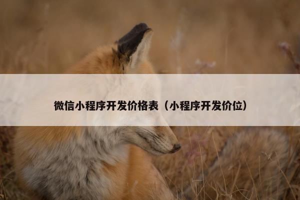 微信小程序开发价格表（小程序开发价位）