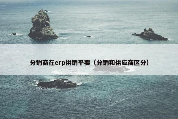 分销商在erp供销平要（分销和供应商区分）