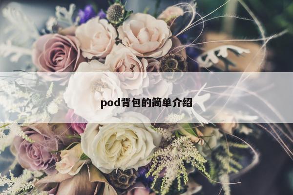 pod背包的简单介绍