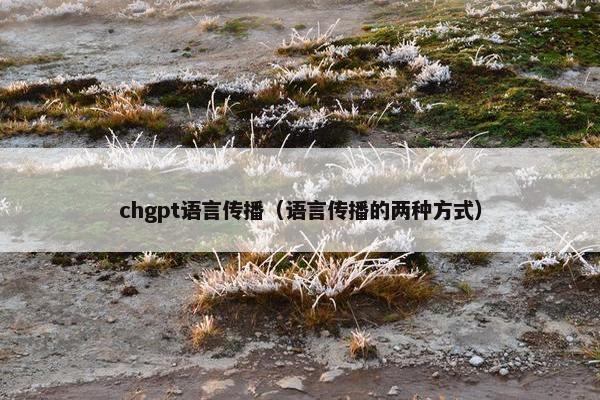chgpt语言传播（语言传播的两种方式）