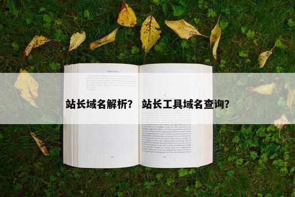 站长域名解析？ 站长工具域名查询？