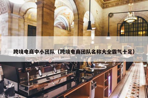 跨境电商中小团队（跨境电商团队名称大全霸气十足）